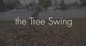tree swing